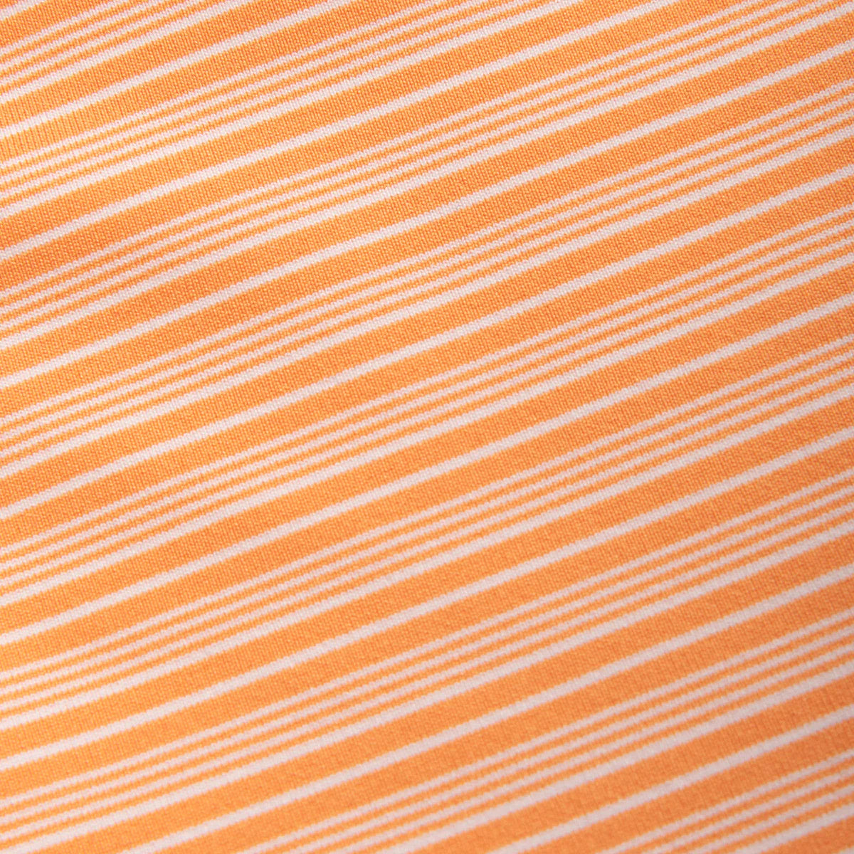 Marigold Campus Stripe Polo
