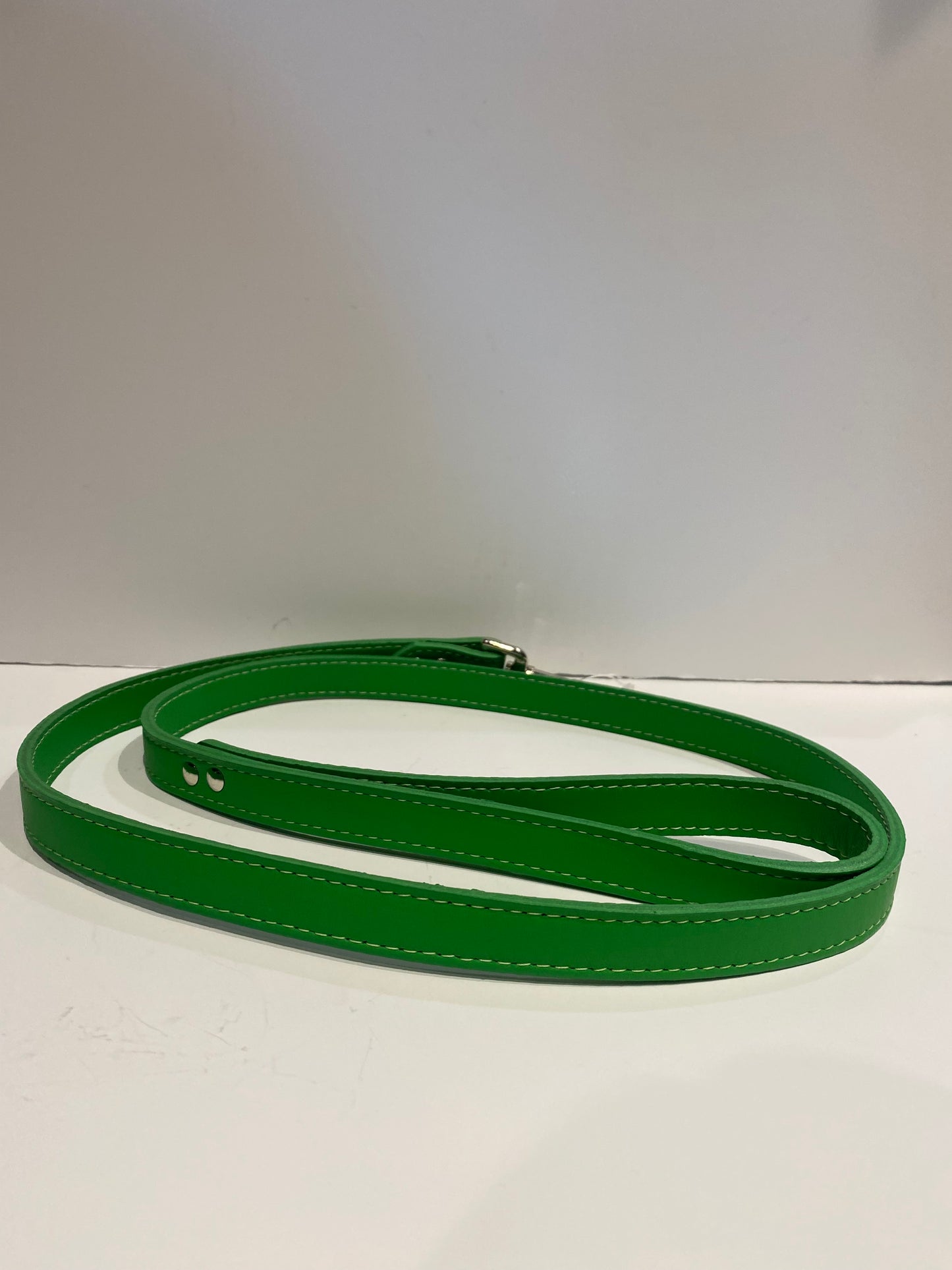 Pet Leash