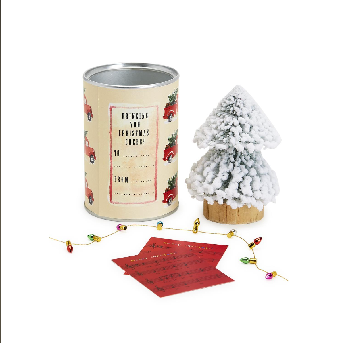 Christmas in a Can