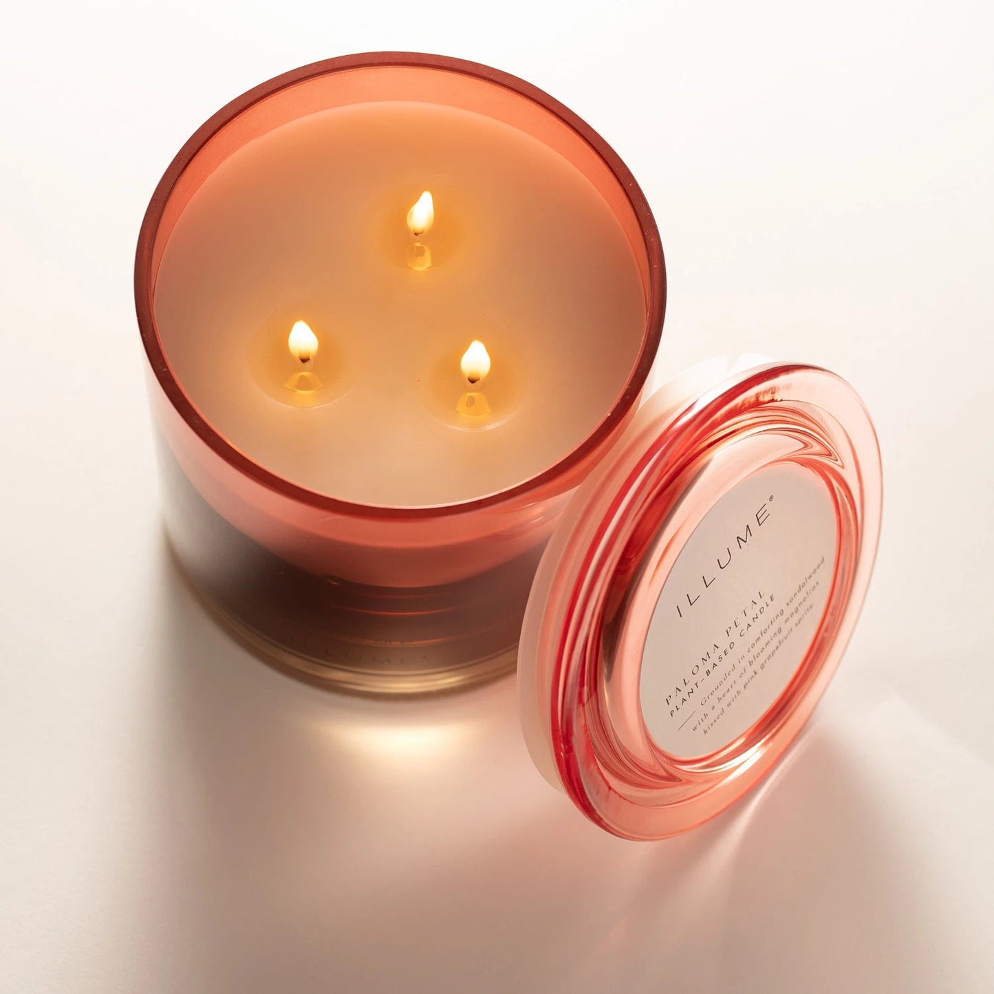 Paloma Petal Statement Glass Candle