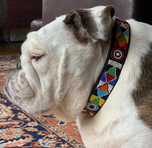 Tapestry dog collar